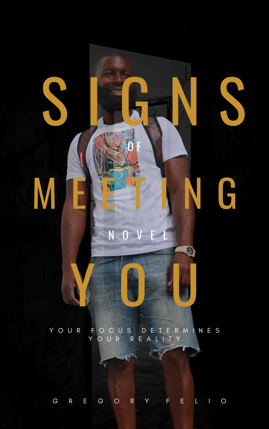 Signs of Meeting You Ebook